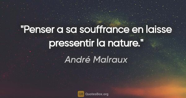 André Malraux citation: "Penser a sa souffrance en laisse pressentir la nature."
