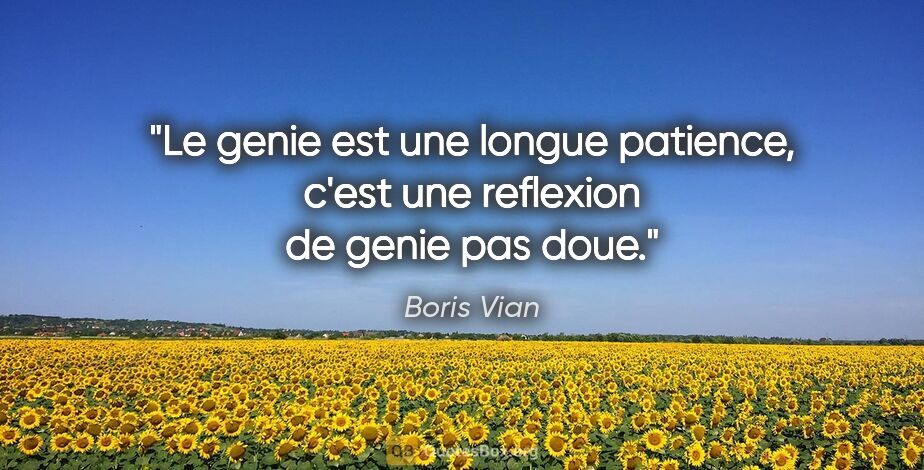 Boris Vian citation: "Le genie est une longue patience, c'est une reflexion de genie..."