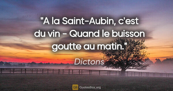 Dictons citation: "A la Saint-Aubin, c'est du vin - Quand le buisson goutte au..."