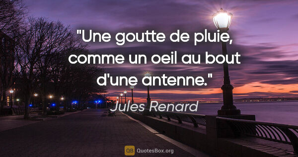 Jules Renard citation: "Une goutte de pluie, comme un oeil au bout d'une antenne."