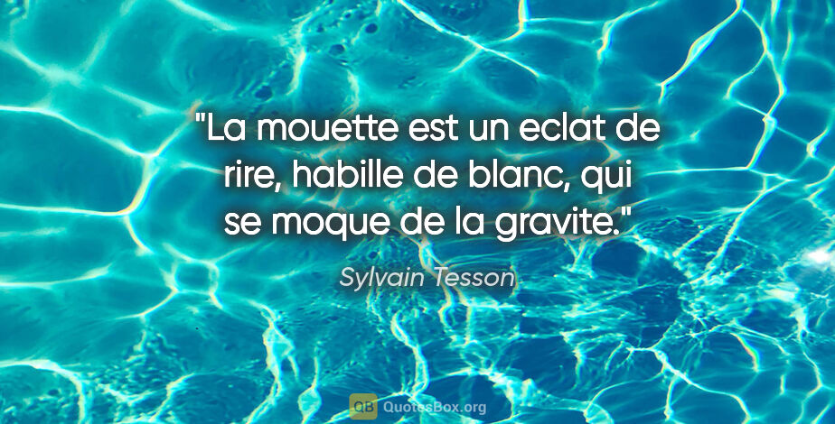 Sylvain Tesson citation: "La mouette est un eclat de rire, habille de blanc, qui se..."