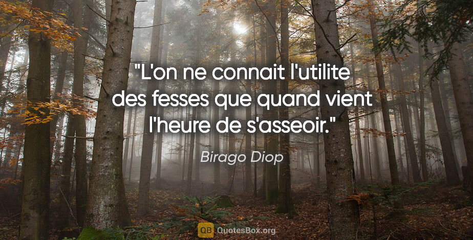 Birago Diop citation: "L'on ne connait l'utilite des fesses que quand vient l'heure..."