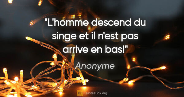 Anonyme citation: "L'homme descend du singe et il n'est pas arrive en bas!"