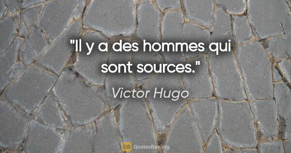Victor Hugo citation: "Il y a des hommes qui sont sources."