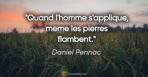 Daniel Pennac citation: "Quand l'homme s'applique, meme les pierres flambent."