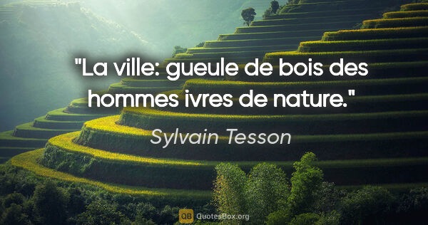 Sylvain Tesson citation: "La ville: gueule de bois des hommes ivres de nature."