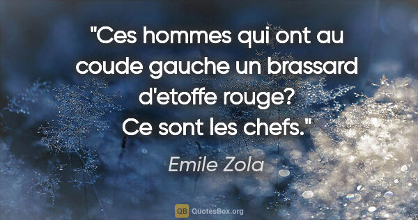 Emile Zola citation: "Ces hommes qui ont au coude gauche un brassard d'etoffe rouge?..."