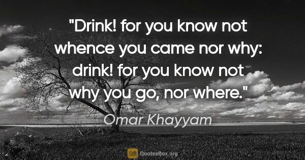 Omar Khayyam quote: "Drink! for you know not whence you came nor why: drink! for..."
