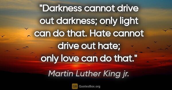 Martin Luther King jr. quote: "Darkness cannot drive out darkness; only light can do that...."