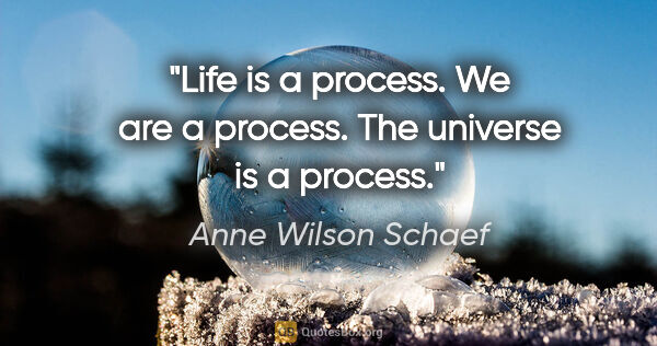 Anne Wilson Schaef quote: "Life is a process. We are a process. The universe is a process."