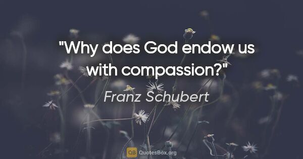 Franz Schubert quote: "Why does God endow us with compassion?"