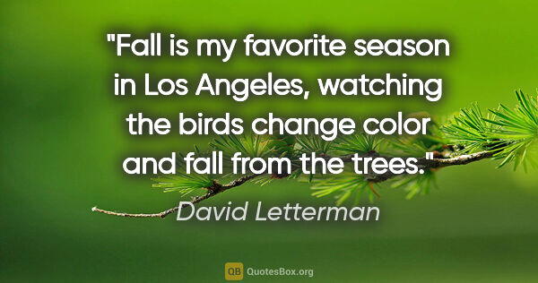 David Letterman quote: "Fall is my favorite season in Los Angeles, watching the birds..."