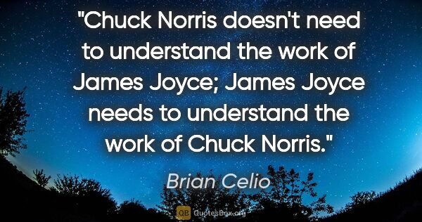 Brian Celio quote: "Chuck Norris doesn't need to understand the work of James..."